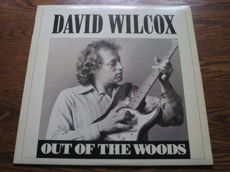 David Wilcox - Out Of The Woods