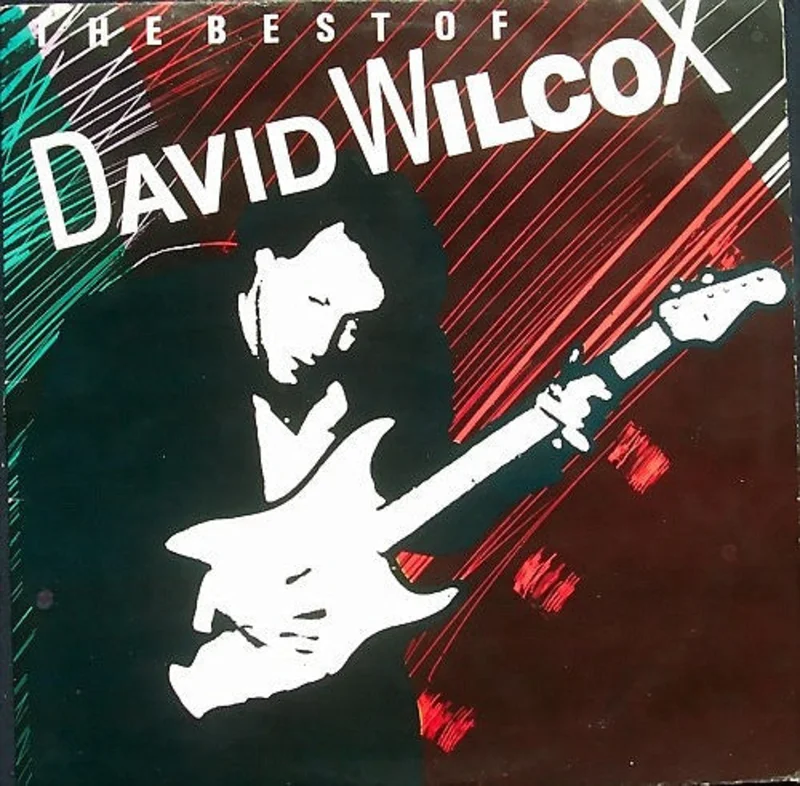 David Wilcox-The Best Of David Wilcox LP