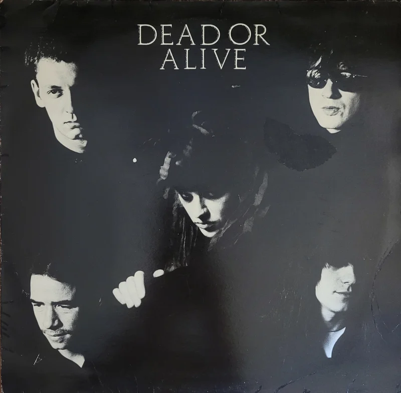 Dead Or Alive - It's Been Hours Now 12" Single