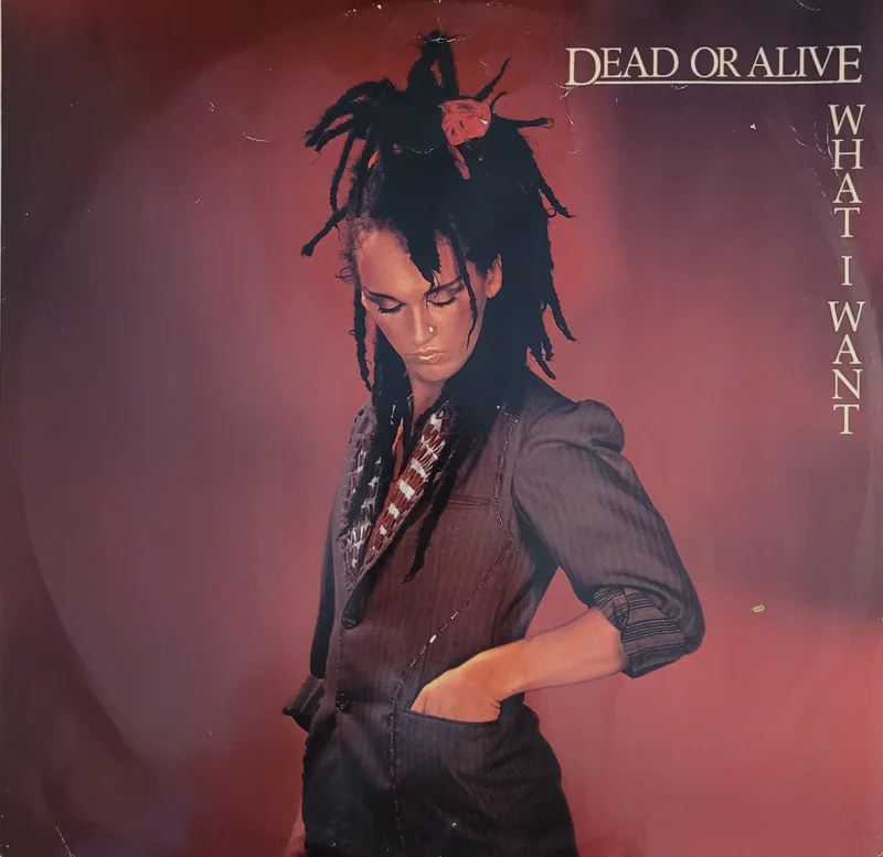 Dead Or Alive - What I Want 12" Single