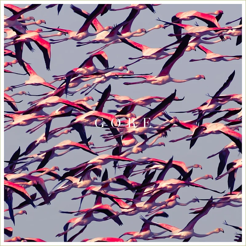 Deftones - Gore [2 LP, Limited Edition White Vinyl, Gatefold]