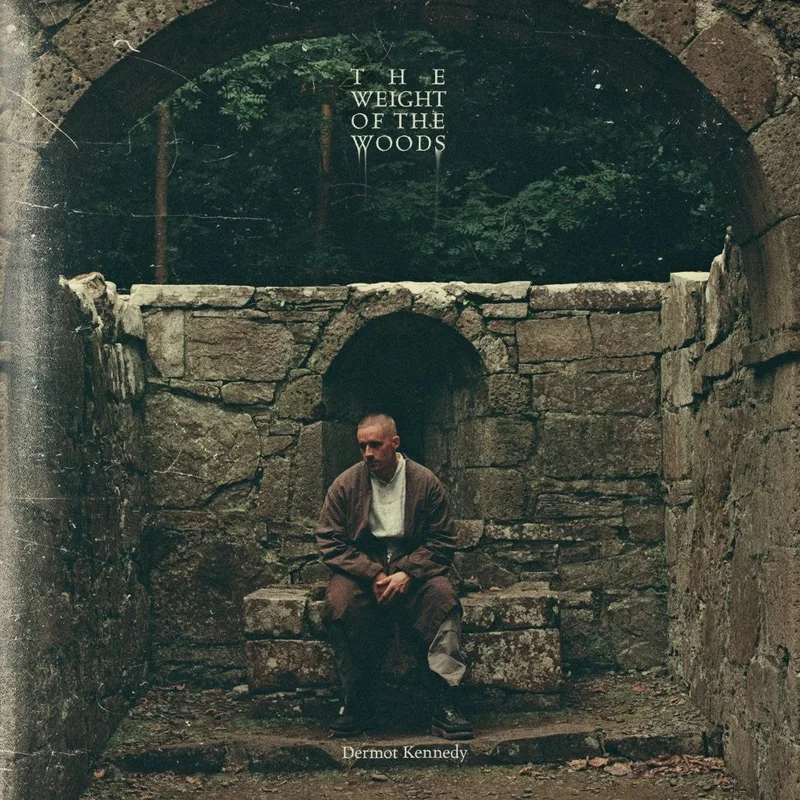 Dermot Kennedy - The Weight of the Woods