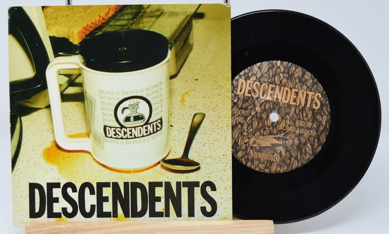 Descendents  Gotta