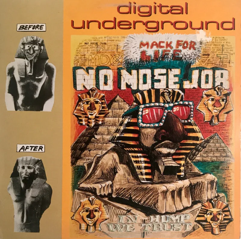 Digital Underground-No Nose Job 12" Single