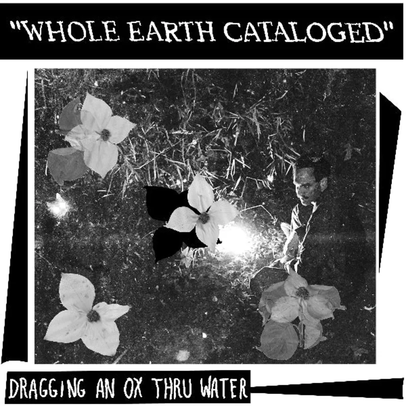 DRAGGING AN OX THROUGH WATER- Whole Earth Cataloged LP