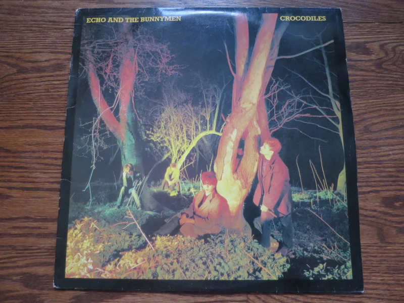 Echo and The Bunnymen - Crocodiles
