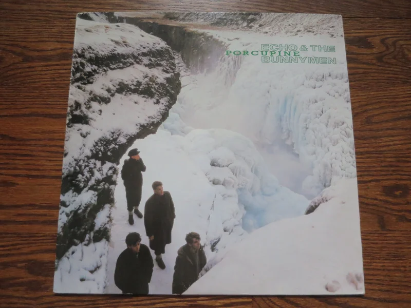 Echo and The Bunnymen - Porcupine