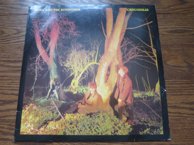 Echo & The Bunnymen - Crocodiles