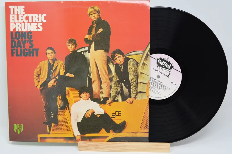 Electric Prunes - Long Day's Flight