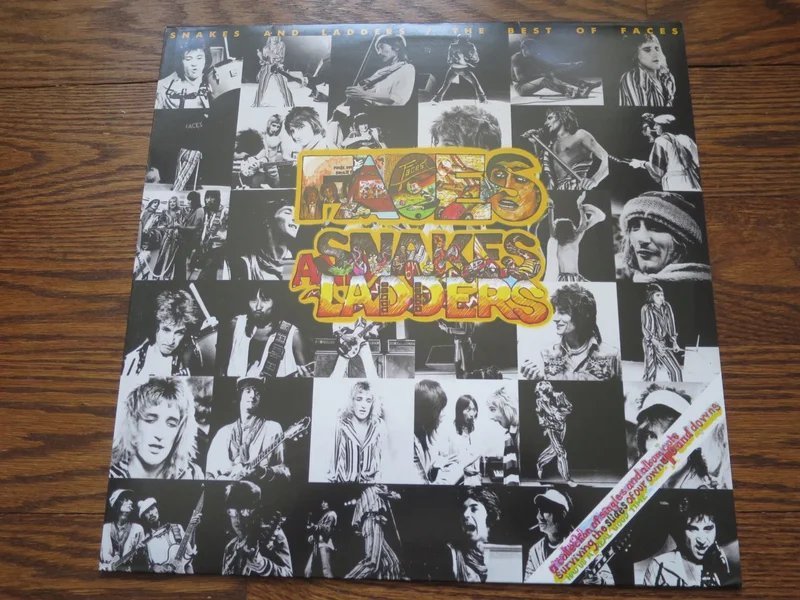 Faces - Snakes and Ladders