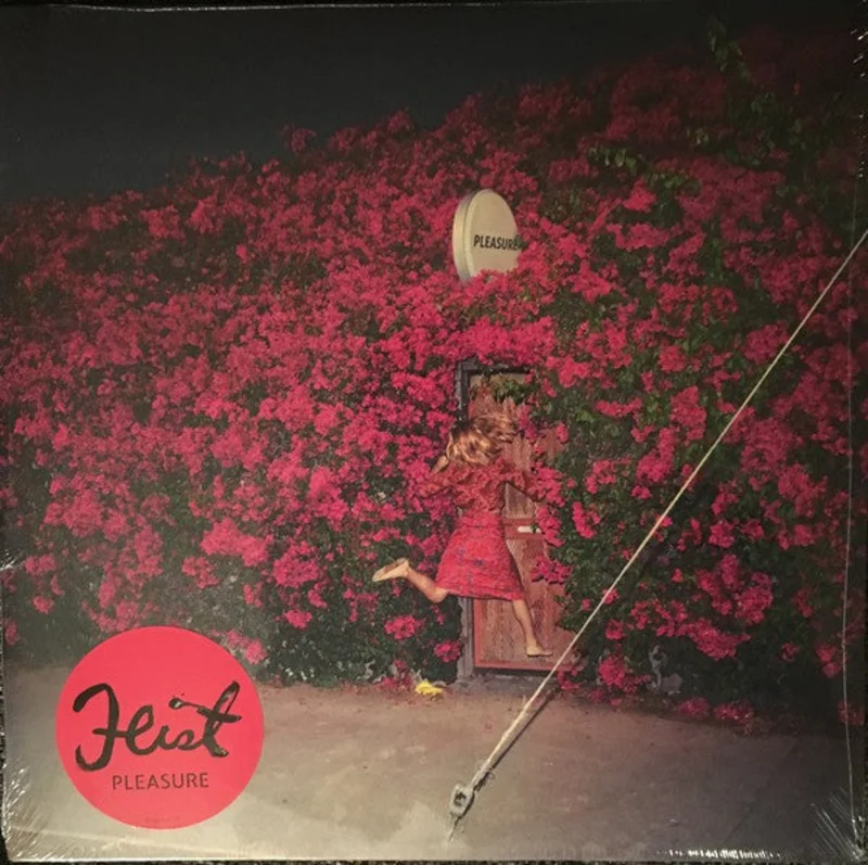 Feist | Pleasure (New)