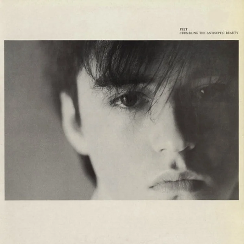 Felt | Crumbling The Antiseptic Beauty (New)