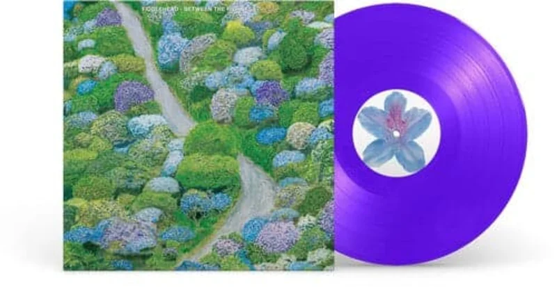 Fiddlehead - Between the Richness