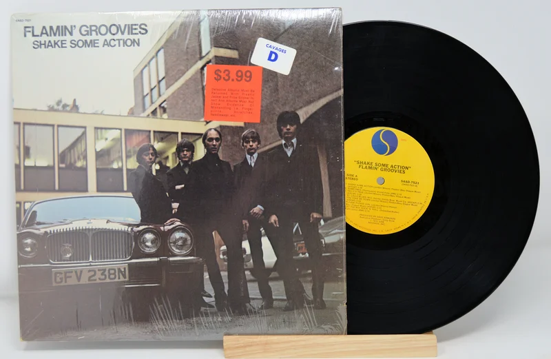 Flamin Groovies - Shake Some Action