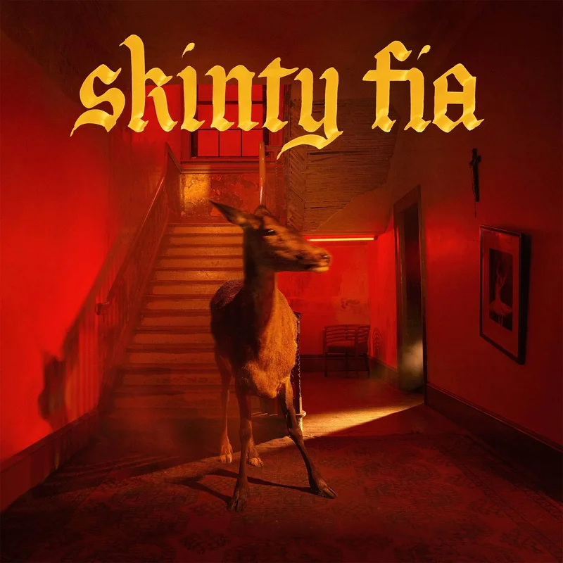 Fontaines D.C. - Skinty Fia [Black Vinyl LP]