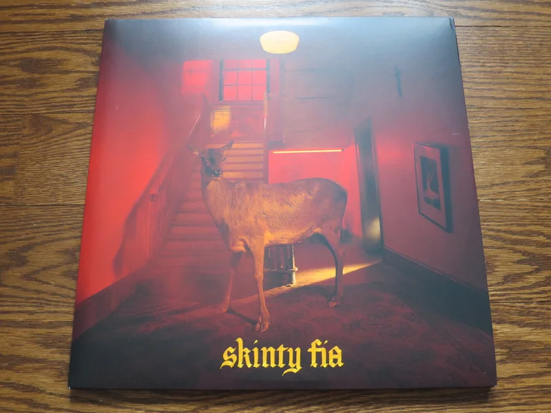 Fontaines DC - Skinty Fia