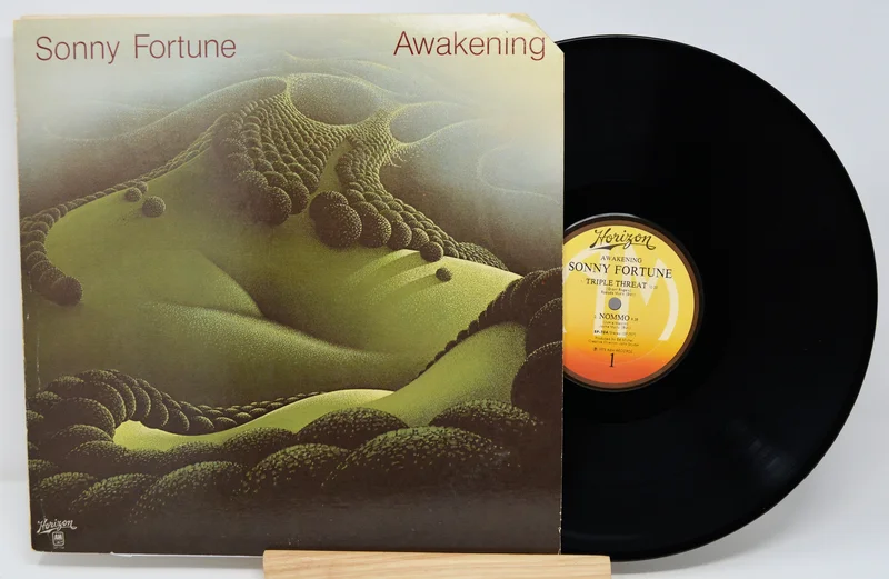 Fortune, Sonny - Awakening