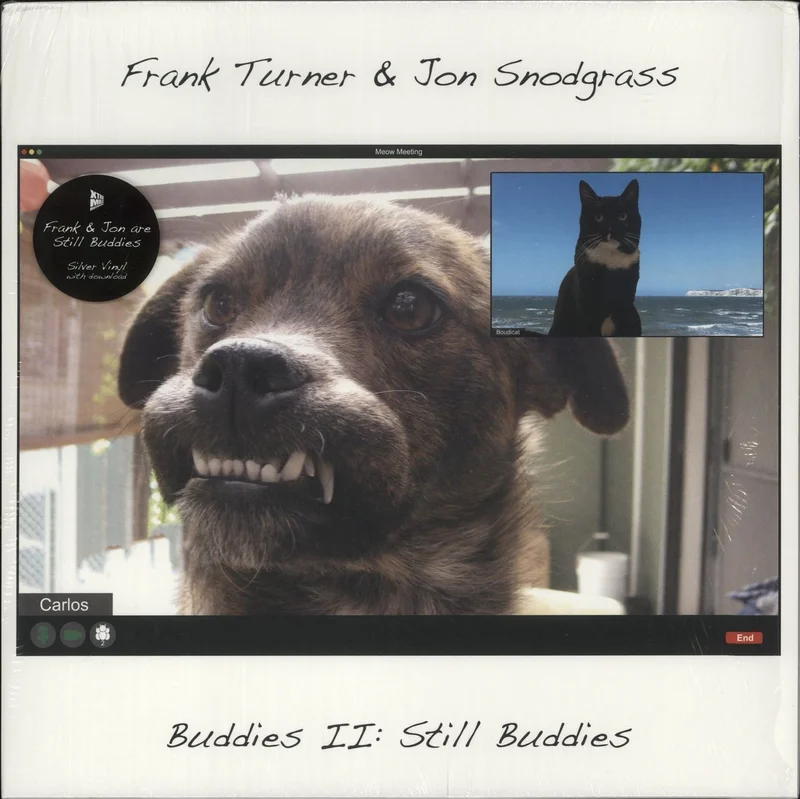 Frank Turner Buddies II: Still Buddies - Silver Vinyl UK Vinyl LP