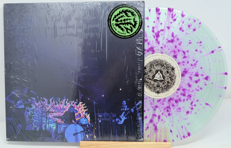 Fuzz - Levitation Sessions