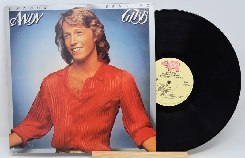 Gibb, Andy - Shadow Dancing