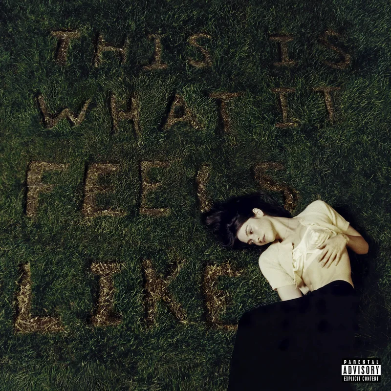 Gracie Abrams - This Is What It Feels Like [Black Vinyl LP]