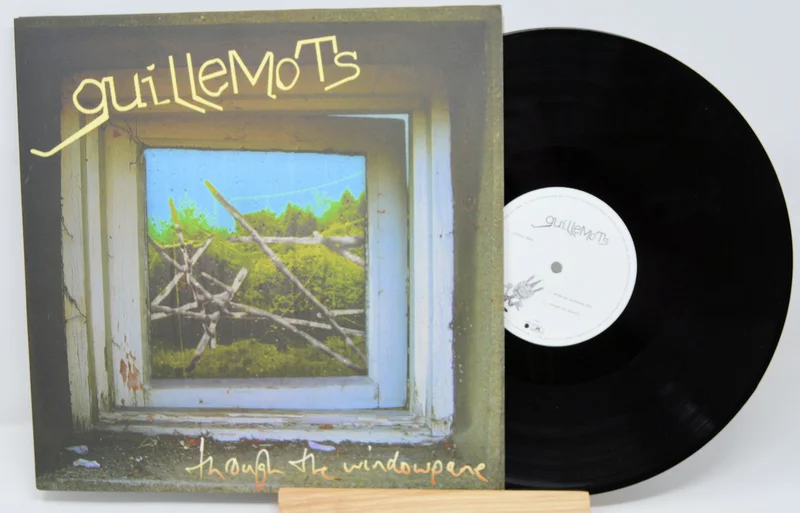 Guillemots - Through The Windowpane