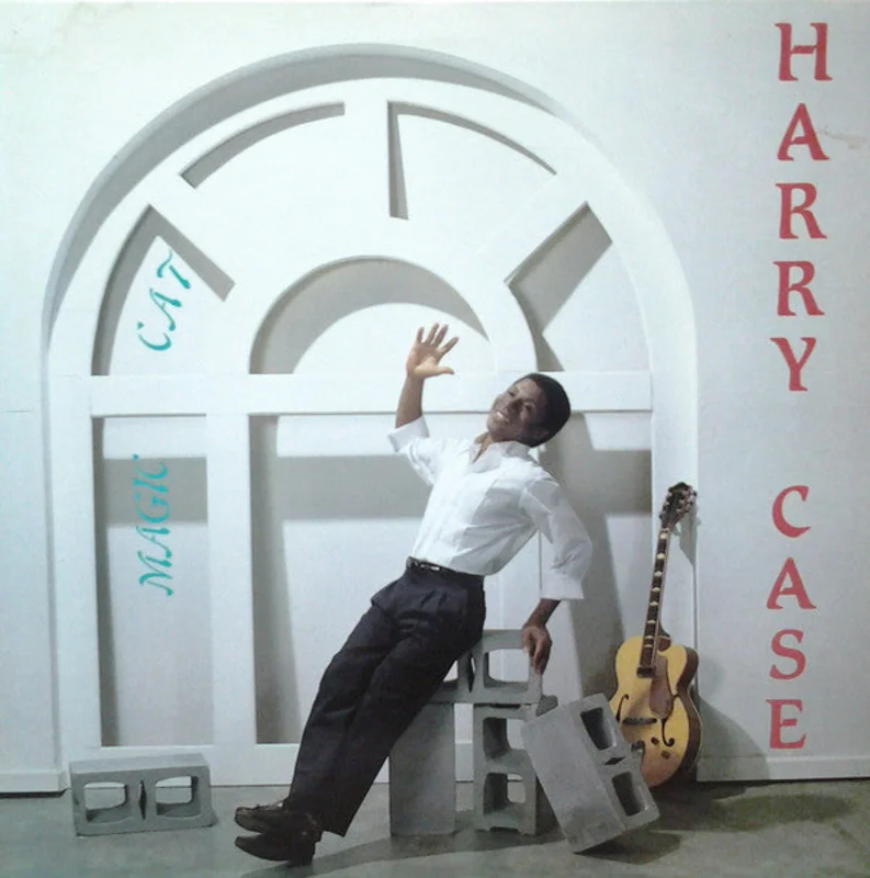 Harry Case | Magic Cat (New)