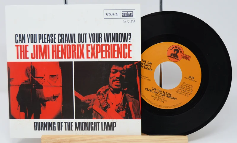 Hendrix, Jimi - Can You Please Crawl Out Your Window?