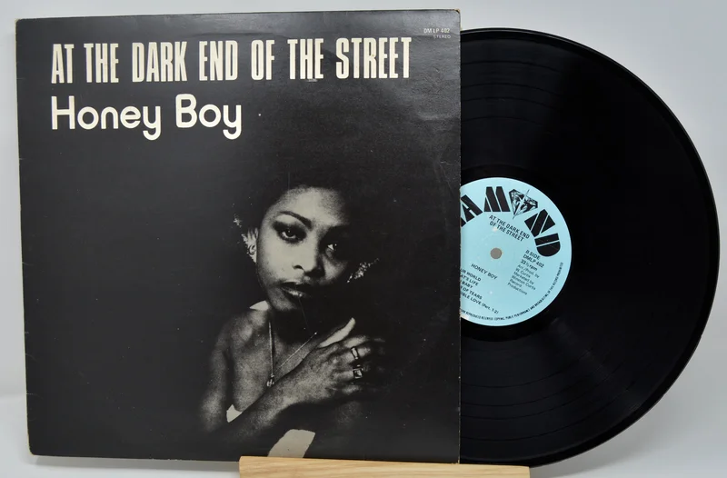Honey Boy - At The Dark End Of The Street