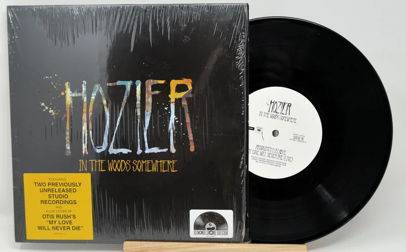 Hozier - In The Woods Somewhere