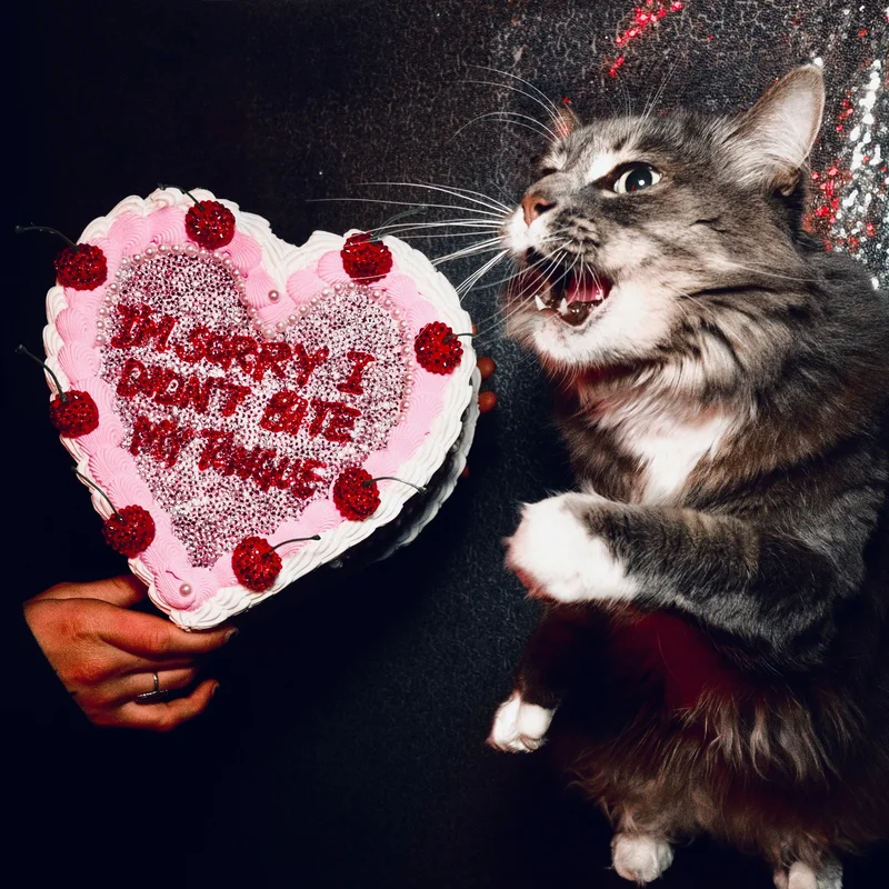 I'M SORRY I DIDN'T BITE MY TONGUE (DELUXE)