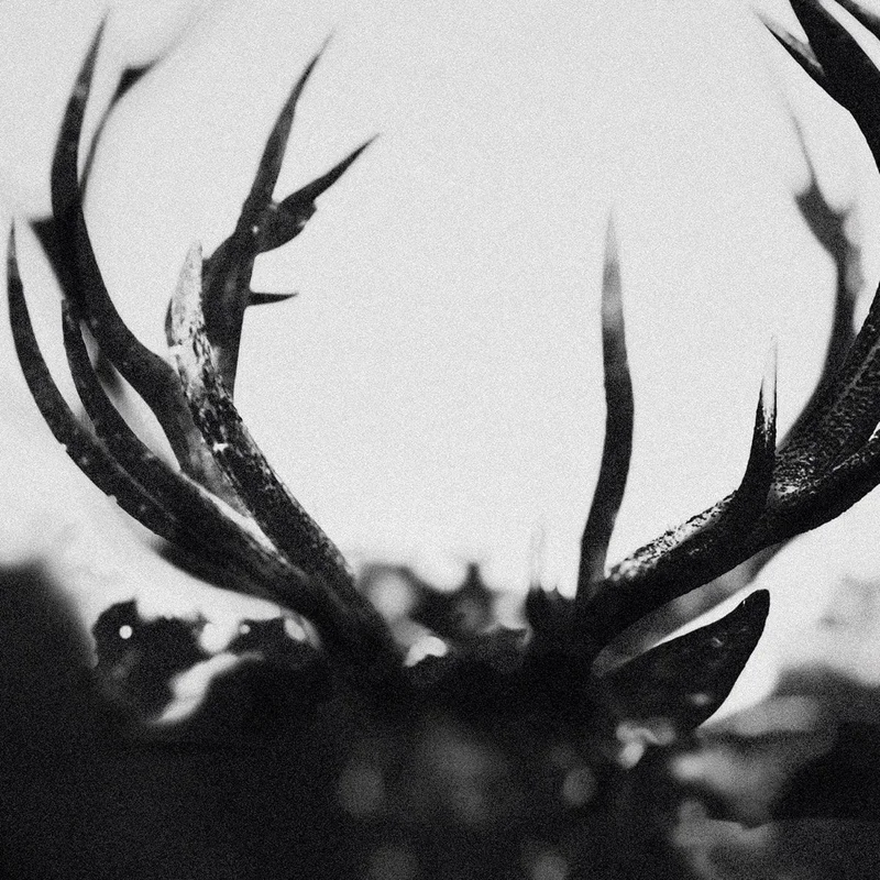 Ihsahn - Ihsahn (Metal Version)
