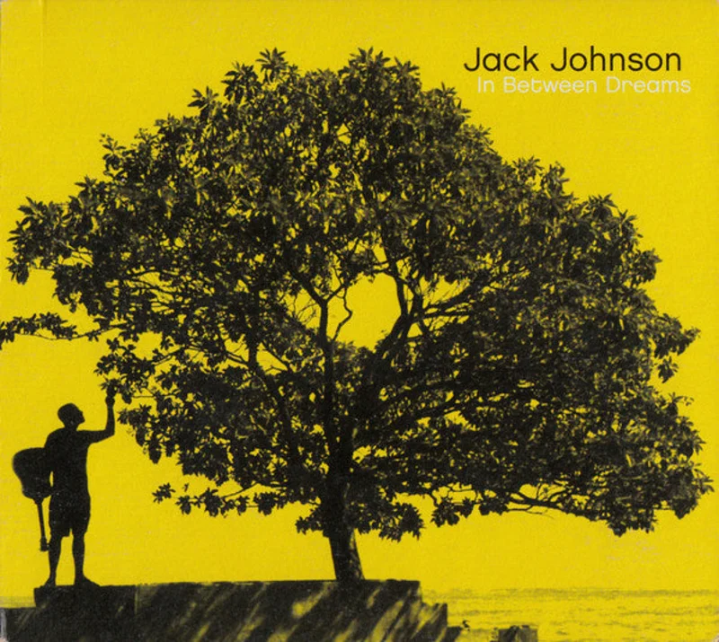 Jack Johnson-In Between Dreams CD