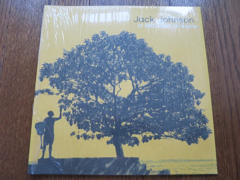 Jack Johnson - In Between Dreams