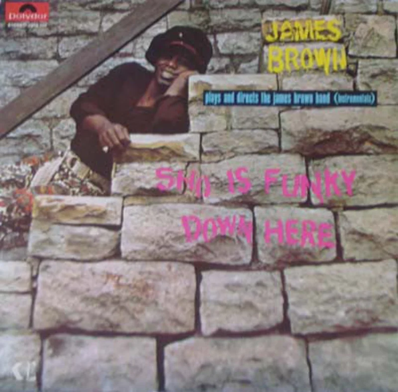 James Brown | Sho Is Funky Down Here