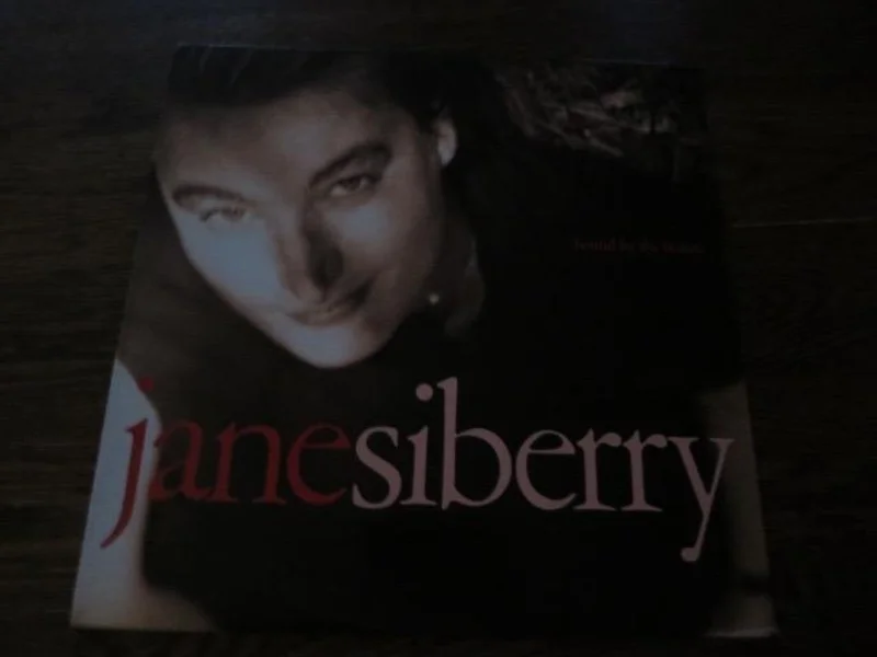 Jane Siberry - Bound By The Beauty