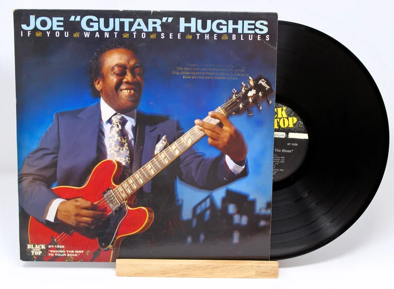 Joe "Guitar" Hughes If You Want To See The Blues