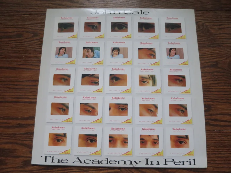 John Cale - The Academy In Peril