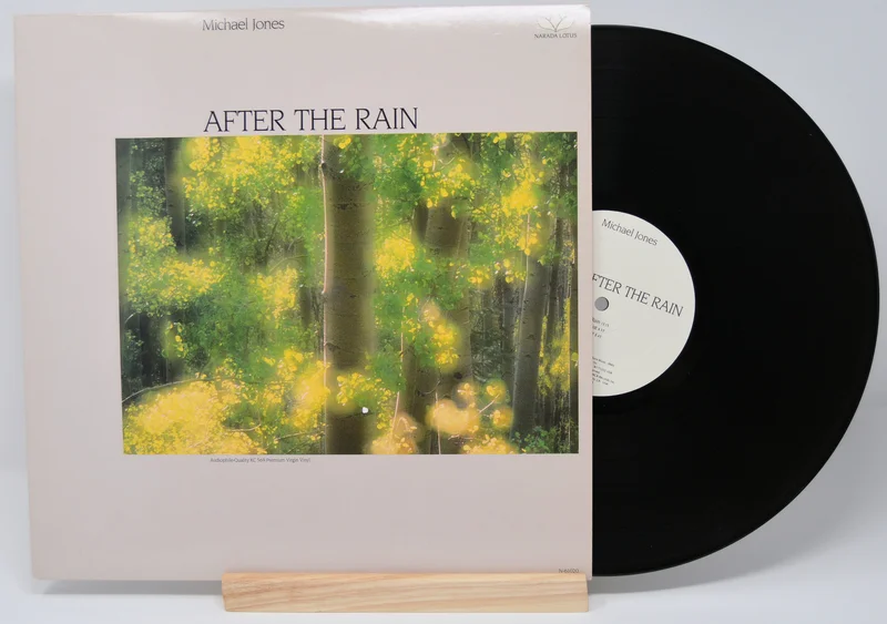 Jones, Michael After The Rain