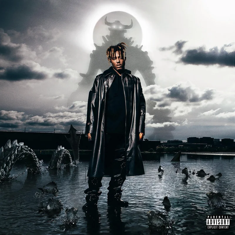 Juice WRLD - Fighting Demons [2 LP, Black Vinyl]