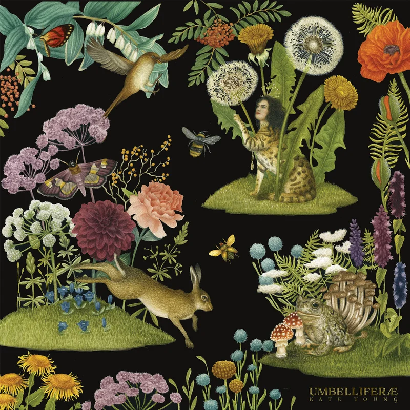 Kate Young - Umbellifer