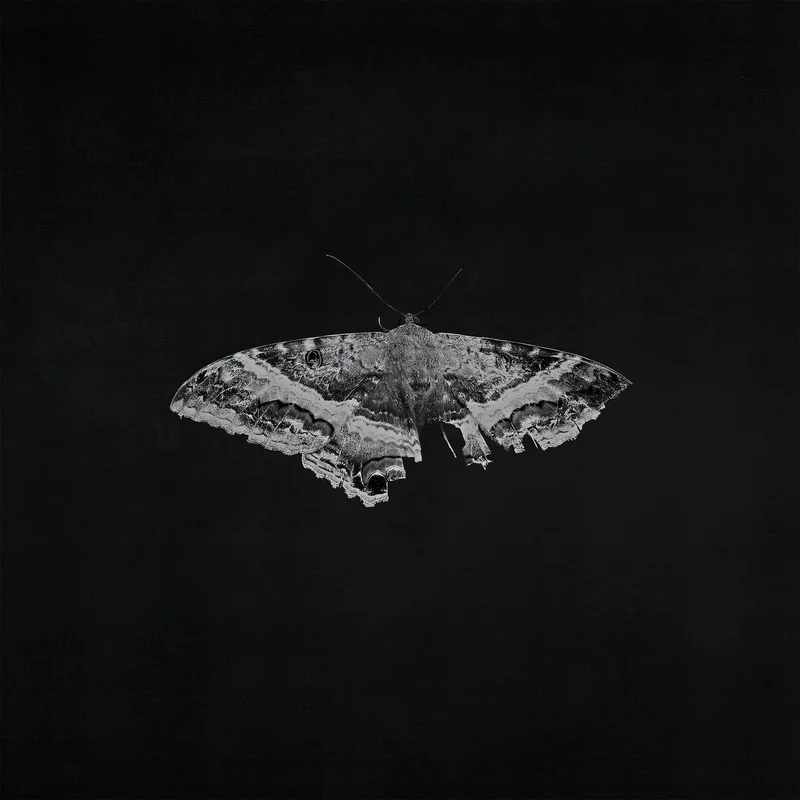 Kendrick Lamar - To Pimp A Butterfly [2 LP Indie Metallic Vinyl]