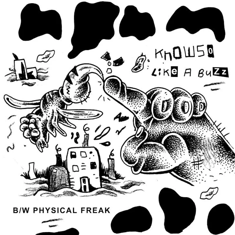 KNOWSO- Like A Buzz 7"