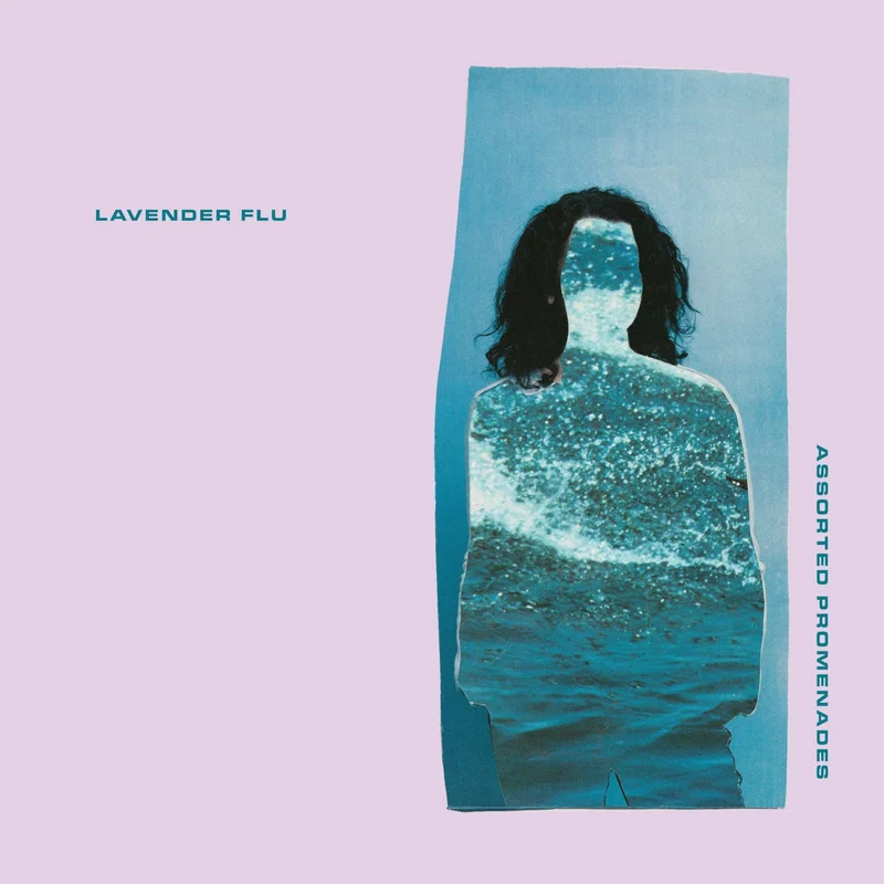 * LAVENDER FLU- Assorted Promenades 12"