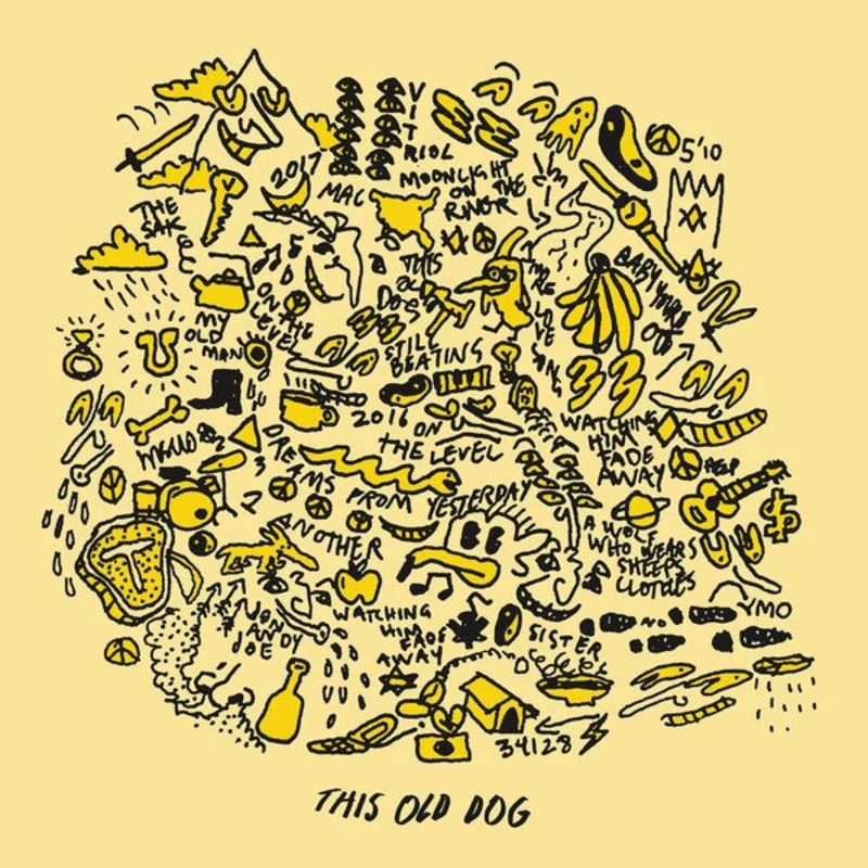 Mac Demarco | This Old Dog (New)
