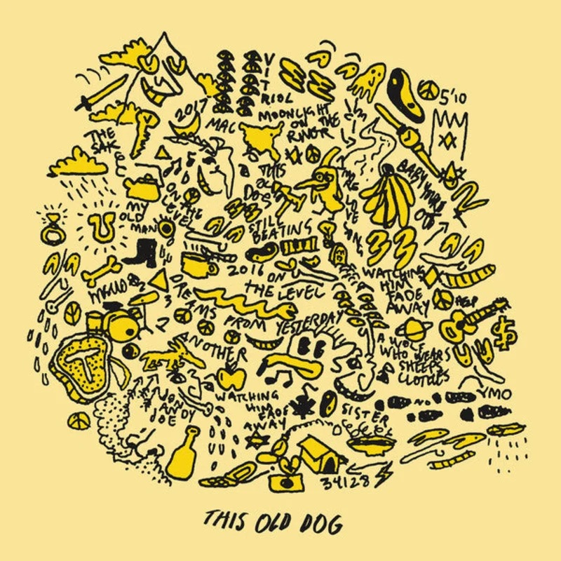 Mac DeMarco  This Old Dog