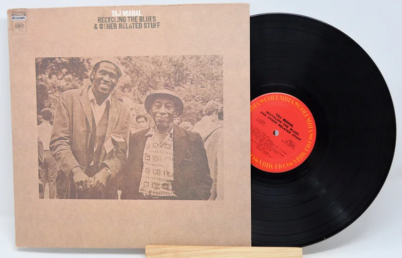 Mahal, Taj - Recycling The Blues
