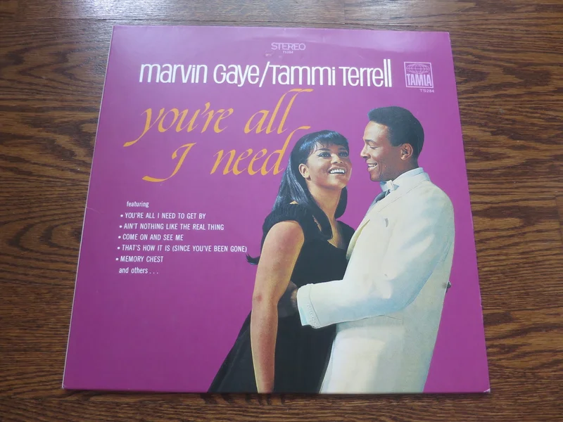 Marvin Gaye/Tammi Terrell - You're All I Need