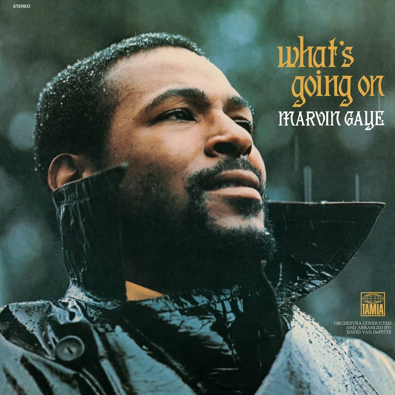 Marvin Gaye - What's Going On [180g Black Vinyl LP, Gatefold]