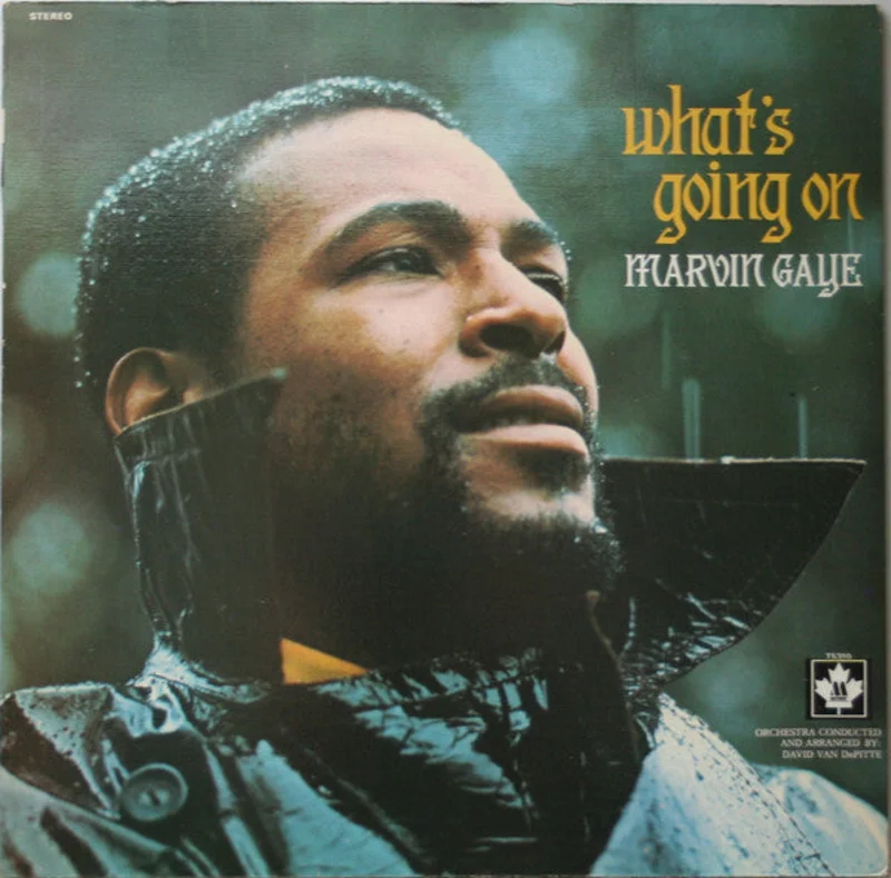 Marvin Gaye-What's Going On LP Final Sale